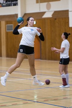 Bild 157 - F TSV Ellerau - HSG Tills Loewen 08 : Ergebnis: 16:18